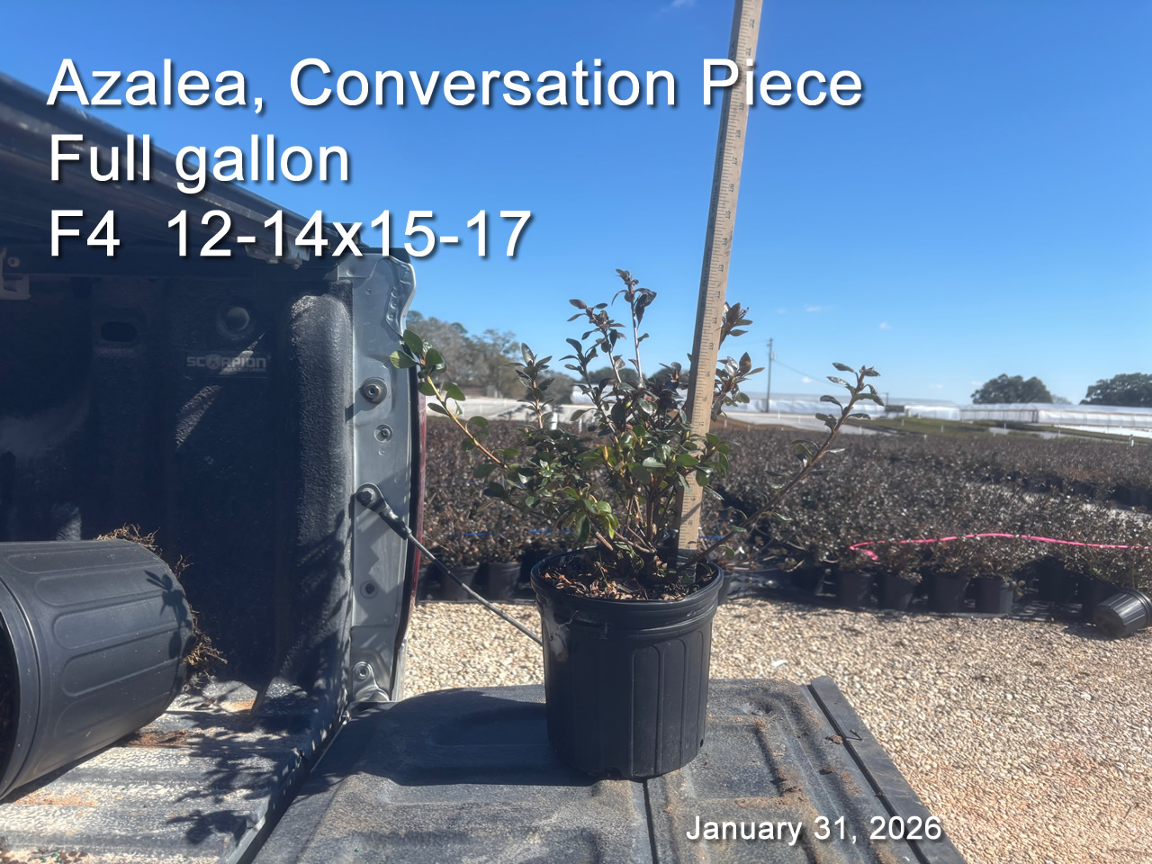 gallery/cp2yf f4 jan31.jpg